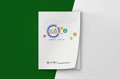 贡井区画册设计：以场景为媒，打造城市体验的全新入口